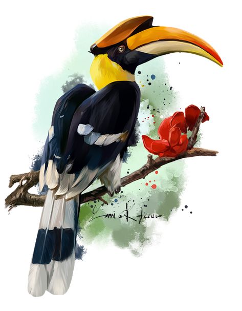 Hornbill by https://www.deviantart.com/kajenna on @DeviantArt Burung Kakatua, Art Tutorials Watercolor, Bird Pictures, Art Drawings For Kids, Bird Drawings, Paint Shop, Watercolor Animals, Wildlife Art, Birds Painting