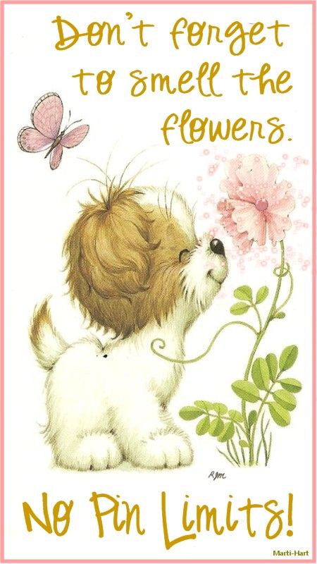 No limits on my boards,,, Cute Animal Illustration, 수채화 그림, Cute Animals Images, Cute Animal Drawings, Cute Images, The Flowers, Cute Illustration, Animal Illustration, Dog Art