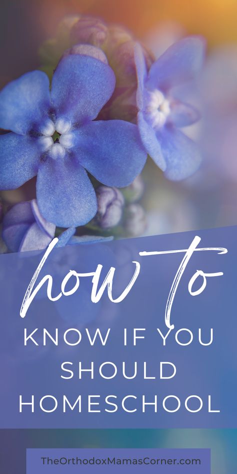 Have you recently been questioning the public school system? Are you wondering if homeschool if right for your family? In this blog post, I'll take you through the benefits and challenges of homeschooling. I will outline all the important things to think about so you can make your decision with confidence. Should you homeschool, homeschooling pros and cons, is homeschooling right for you, should i consider homeschooling, benefits of homeschooling, advantages of homeschooling School Confidence, Benefits Of Homeschooling, Make School, Homeschool Schedule, Homeschool Ideas, School System, School Fun, Pros And Cons, Public School