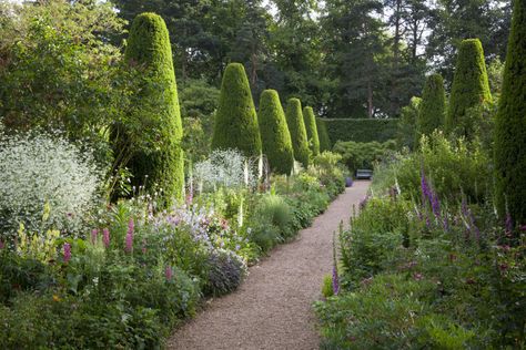 Beautiful yew hedges and topiary; crambe cordifolia, lupins, and foxgloves in the Long Borders at Gloucestershire's Hidcote Manor White Garden, shown here in June. Vita Sackville-West wrote of its formal structure, which inspired her own design of The White Garden at Sissinghurst: ’A series of cottage garden rooms’ Vita Sackville West, Manor Garden, Garden Arbor, Longwood Gardens, White Gardens, Gorgeous Gardens, Country Gardening, English Garden, Shade Garden