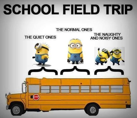 Field trip Funniest Texts, Hilarious Puns, Minion Memes, Minions Humor, School Field, Funny Minion Memes, Minion Pictures, Minion Jokes, Minions Love