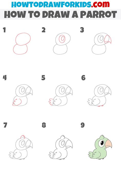 Parrot Simple Drawing, Parotts Bird Drawing Easy, How To Draw A Parrot Easy, Parrot Drawing Easy Step By Step, How To Draw Cartoon Animals Step By Step, How To Draw Farm Animals Step By Step, How To Draw A Parrot Step By Step, How To Draw A Parrot, Parrot Drawing Simple