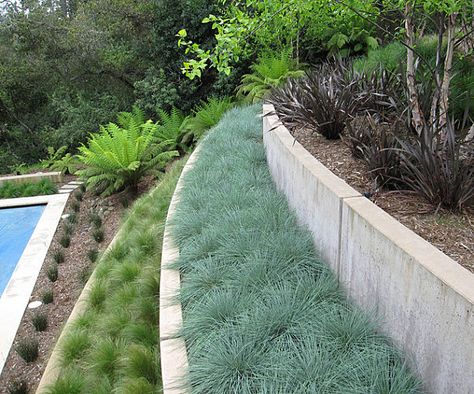 An assortment of grassy plant life for layers of retaining walls. I wonder if this is low maintenance? Tiered Gardens, Concrete Retaining Wall, Retaining Wall Design, Terraced Landscaping, Landscaping A Slope, Cheap Landscaping Ideas, Concrete Retaining Walls, Sloped Backyard, Landscaping Retaining Walls