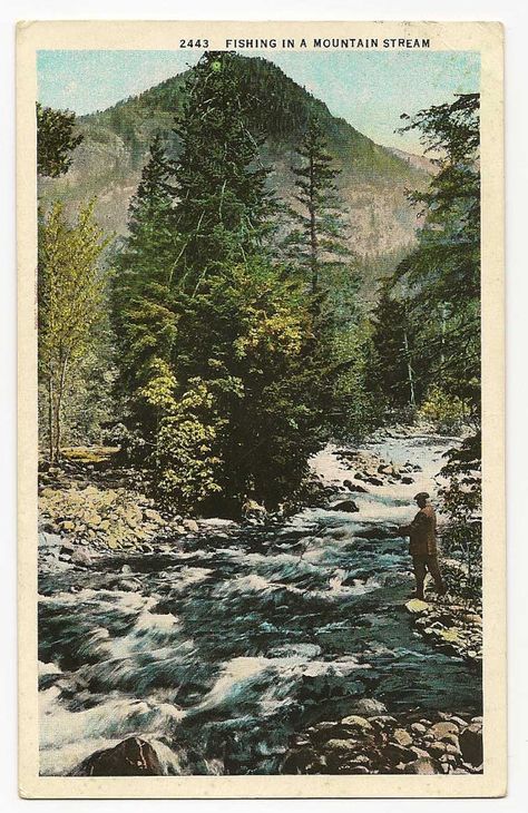 Rustic Fishing Decor, Fly Fisherman, Mountain Stream, Fishing Decor, Vintage Linen, Summer School, Vintage Postcard, Rocky Mountains, Montana