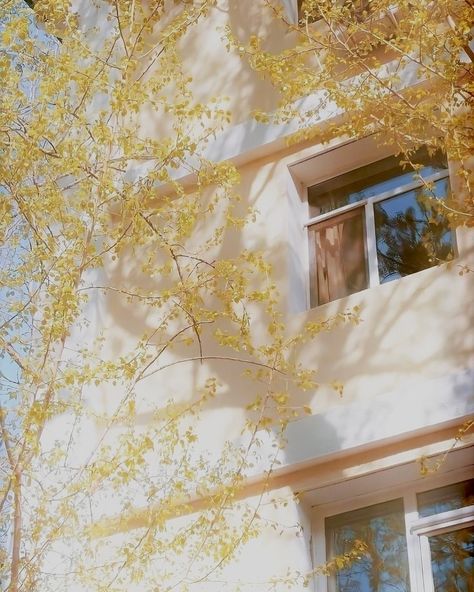 yellow is definitely the color of summer 🌻🌼🍋 #texture #texturedart #textures #texturedpainting #wall #wallart #walldecor #acrylicpainting #acrylic #materic #matericoart #materico #modernart #homedecor #homedesign #natural #reels #reelsinstagram #reelsvideo #reeloftheday #neutralstyle #neutraldecor #walldecor #wallart #interiordesign #interiordecor Blue And Yellow Aesthetic, Textured Abstract Art, Flowery Wallpaper, Blue Aesthetic Pastel, Green Architecture, Aesthetic Japan, Instagram Ideas Photography, Yellow Wallpaper, Yellow Aesthetic