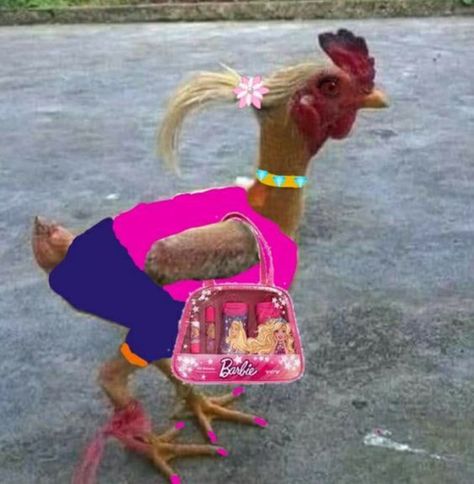 cute Chicken Animal Funny, Funny Chicken Photos, Chicken Funny Picture, Cursed Squirrel Images, Chicken Pfp Cute, Twerking Chicken, Momo Chicken Lady Scary, Chicken Memes Humor, Cursed Chicken