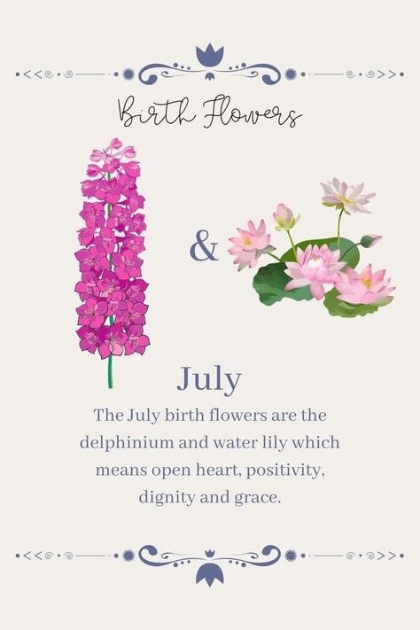 July Birth Flowers, Wildflower Tattoos, Lily Meaning, Water Lily Design, Larkspur Tattoo, Symbols Meaning, Water Lily Tattoos, July Birth Flower, Larkspur Flower