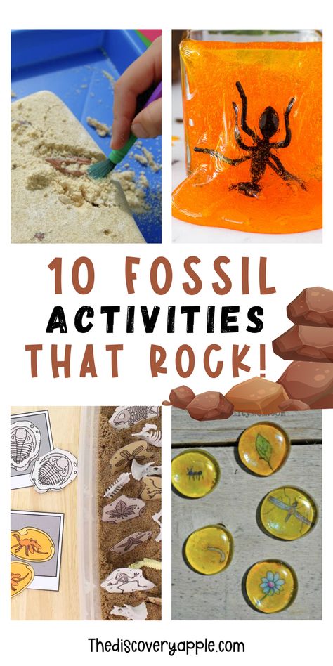 Lets go on a journey through time with these 10 awesome fossil activities for kids! From digging up fake dinosaur bones to creating your own fossil replicas, these hands-on experiments promise fun and learning for young explorers. Perfect for sparking curiosity and imagination! These activities are sure to make learning about fossils an unforgettable experience for your students or children! Dinosaur Fossil Preschool Activities, Dinosaur Fossil Activity, Fossil Art Project, Dino Fossil Craft, Grand Canyon Activities For Kids, Stone Age Activities For Kids, Paleontologist Activities For Kids, Paleontology Activities, Paleontology Activities For Kids