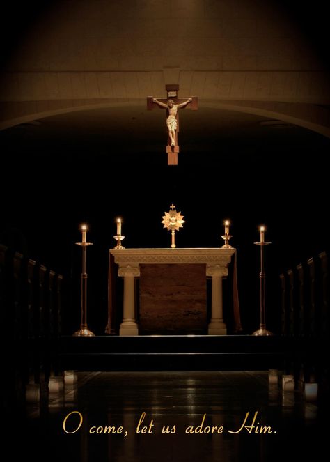 EUCHARiSTiC ADORATiON ♥ Holy Hour, Eucharistic Adoration, Come Let Us Adore Him, Catholic Images, Catholic Priest, Religious Images, Catholic Quotes, Roman Catholic Church, Eucharist