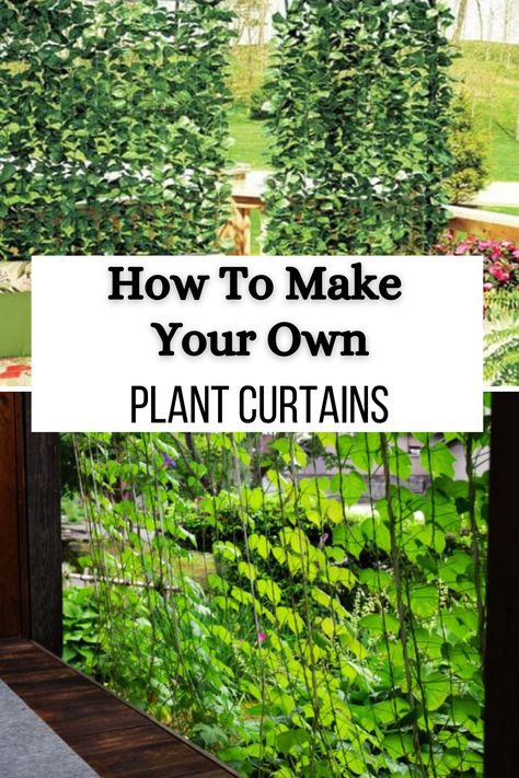 In this post, we’ll cover all the steps for both faux plant curtains and living plant curtains. You’ll find a list of materials and detailed steps, which will give you a great set of plant curtains. Curtain Plants Outdoor, Living Curtains Plants, Hanging Plant Curtain Rod, Plants As Curtains, Outdoor Plant Ideas, Balcony Hacks, Mindfulness Garden, Curtain Plants, Patio Curtain Ideas