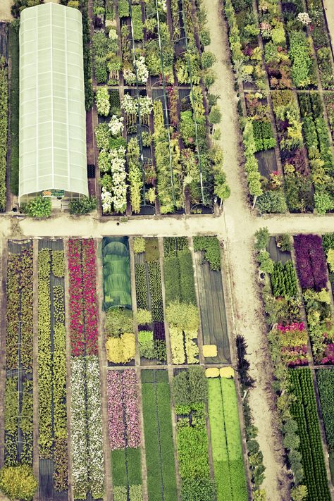 Check out market garden by RaumRot on Creative Market Perfect Garden Layout, Companion Gardening, Growing Tomatoes In Containers, Succession Planting, Market Garden, Work From Home Business, Flower Nursery, Gardening Advice, Growing Tomatoes