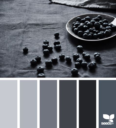 berry tones Today's Inspiration, Berry Tones, Pantone 2020, Grey Palette, Seni Origami, Florida House, Color Palate, Design Seeds, Color Grading