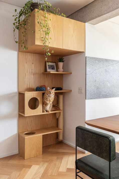 Functional Cabinets and Shelves: Spatial Practicality in 8 Examples - Image 5 of 14 Cat Room Decor, Cabinets And Shelves, Functional Wall Art, Farmhouse Bathroom Design, Cat Wall Shelves, Urban Wall, Cat Wall Furniture, Urban Wall Art, Bed Shelves