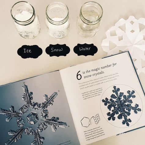 Snow Science Activities for Kids! Fun and simple snowflake experiments for kids.  #homeschool #scienceexperiments #sciencekids #snowflakes Crystal Snowflakes For Kids, Snowflake Experiments For Kids, Snowflake Unit Study, Snow Experiments For Kids, Snowflake Activities For Kids, Advertising Major, Snowflake Science, Snowflake Activities, Learning Invitations