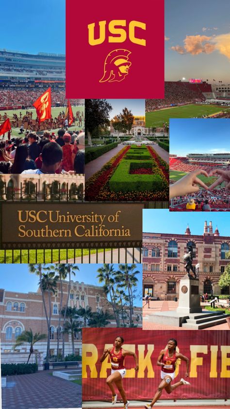 #dream #usc #southerncalifornia Usc College, University Inspiration, Life In Usa, Vision Board Pics, College Vision Board, College Motivation, College Aesthetic, Dream College, Usc Trojans