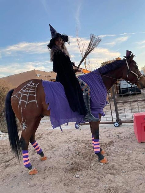 Witch Horse Costume, Horse Riding Halloween Costumes, Horse And Rider Halloween Costumes Diy, Black Horse Halloween Costumes, Halloween Costumes Horse And Rider, Costume Horse And Rider, Easy Horse Costumes, Equestrian Halloween Costumes, Horse And Owner Halloween Costumes