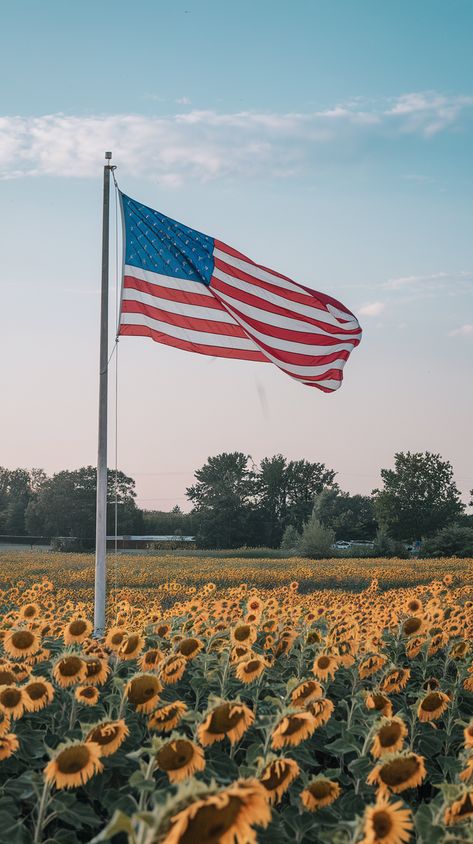 Western Wallpaper, Western Wallpaper Iphone, I Love America, American Flags, A Flag, All American, God Bless America, Vintage Aesthetic, God Bless