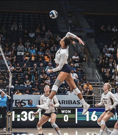 Volleyball Motivation, Volleyball Photography, Volleyball Wallpaper, Volleyball Photos, Volleyball Poses, Playing Volleyball, Volleyball Skills, Volleyball Inspiration, Volleyball Tips