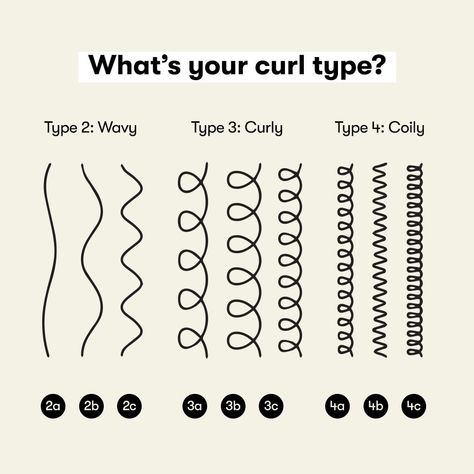 How To Identify Your Curl Pattern | Odele Beauty Curl Pattern Chart, Curl Type Chart, Hair Chart, Type Chart, Hair Pattern, High Porosity Hair, Low Porosity Hair Products, Hair Patterns, How To Shade