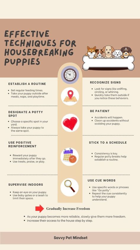 effective techniques for housebreaking puppies Puppy Routine, Puppy Development, Puppy Training Schedule, New Puppy Checklist, Puppy Checklist, Potty Train, Notes Ideas, Puppy Training Tips, Bad Behavior