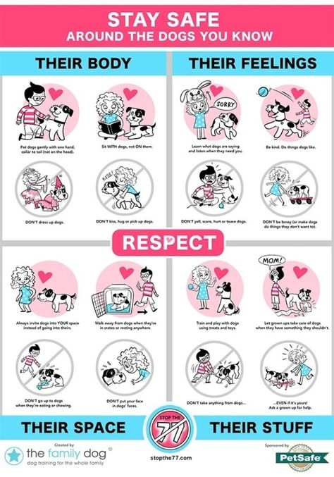 Teaching kids to respect dogs Dressed Up Dogs, Dog Body Language, Keeping Kids Safe, Designer Dog Collars, Dog Training Techniques, What Dogs, Dog Facts, Dog Safety, Dog Biting