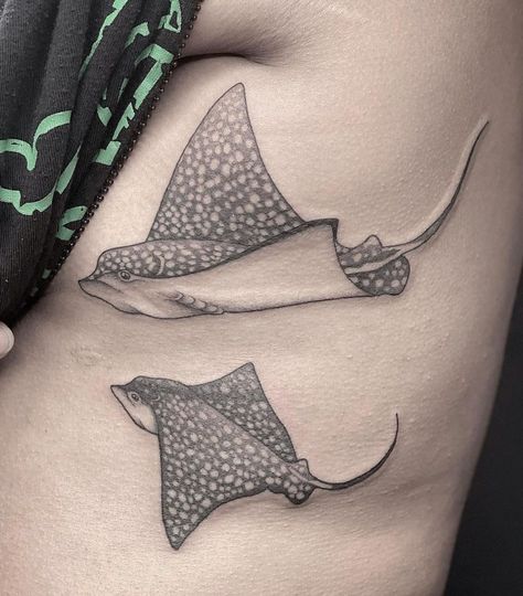 2 Stingray Tattoo, Whale Shark And Sting Ray Tattoo, Eagle Ray Tattoo Design, Realistic Stingray Tattoo, Eagle Ray Drawing, Spotted Eagle Ray Tattoo, Sting Ray Art, Stingray Tattoo Design, Eagle Ray Tattoo