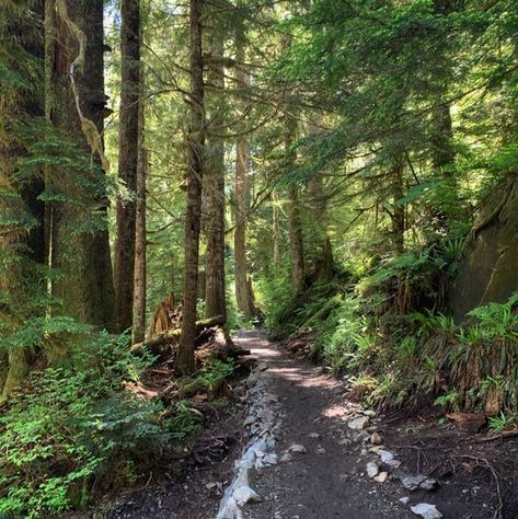 Pacific Northwest Hiking, Hiking Aesthetic Outfit, All Rhodes Lead Here, Adventurecore Aesthetic, Pacific Northwest Trail, Adventure Core, Andrew Cooper, Seattle Photos, North Conway