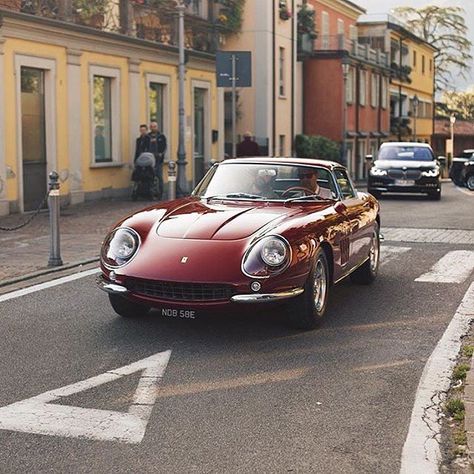 • Amaranto, Ferrari 275 GTB •  By @waxphotography #amaranto #275gtb #como #italy #road #ferrari #mercedesbenz #lamborghini #bugatti #porsche #carporn #vintage #firstpost #first #elegance #lux #luxury #luxurycar #luxurylife #f4f #fashion #cars #londoncars #blacklist #newyork #autoporn #automotive #instacar #follow #carvintage Ferrari 275 Gtb, 275 Gtb, Ferrari 275, Top Luxury Cars, Chevy Muscle Cars, Classic Sports Cars, City Car, Italian Cars, Classic Cars Vintage