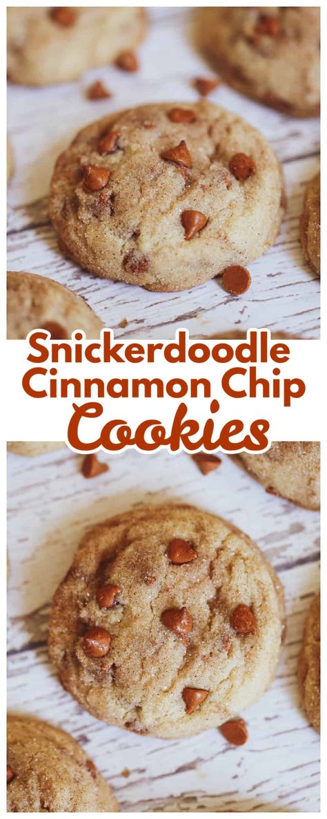 Apple Cinnamon Chip Cookies, Cookies Using Cinnamon Chips, Cookie Jar Cookies, Cinnamon Chips Recipes, Cookies With Cinnamon Chips, Cinnamon Chip Cookies, Saturday Baking, Cinnamon Chip Recipes, Cookies Cinnamon