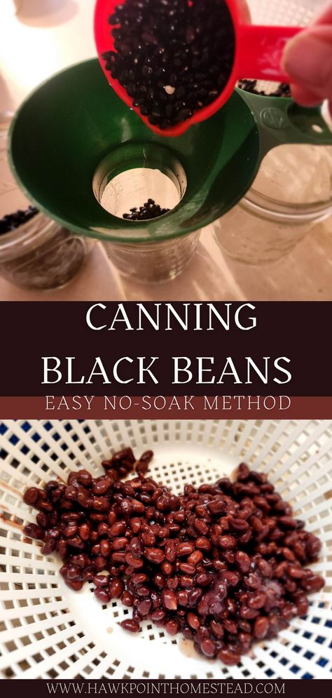 Canning black beans in a pressure canner is an easy, inexpensive, and healthy way to always have black beans on your shelf ready to use. I use a lot of black beans and just used up my last jar in my instant pot Fiesta Fajita Chicken Recipe, so I popped five more jars in my NESCO electric pressure canner. That is about how easy it is, especially since I use the no-soak method of canning dry beans. Plus you control what is in your beans, seasonings, spice level and no preservatives! Canning Dry Black Beans, Canning Black Beans Pressure, Pressure Canning Chili With Meat And Beans, Canning Pinto Beans Pressure, Nesco Electric Pressure Canner Recipes, Canning Black Beans, Canning Dry Beans, Pressure Canner Recipes, Electric Pressure Canner