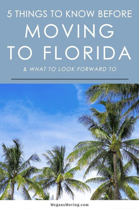 Florida Apartments, Wellington Florida, Best Places To Retire, Moving To Miami, Kissimmee Florida, Clearwater Florida, Moving To Florida, Florida Living, Destin Florida