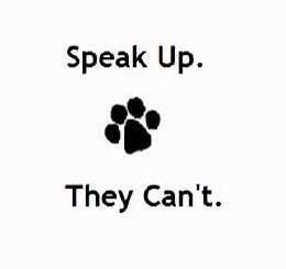 We are their voices. Rescue Quotes, Tattoo Animal, Truth Ideas, Stop Animal Cruelty, Save Animals, New Tattoo, Animal Rights, Animal Quotes, Animal Tattoos