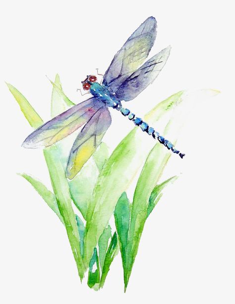 Dragonfly Painting, Watercolor Dragonfly, Blue Dragonfly, Dragonfly Art, Art Aquarelle, Resin Projects, 수채화 그림, Watercolor Paintings Tutorials, Watercolor Inspiration