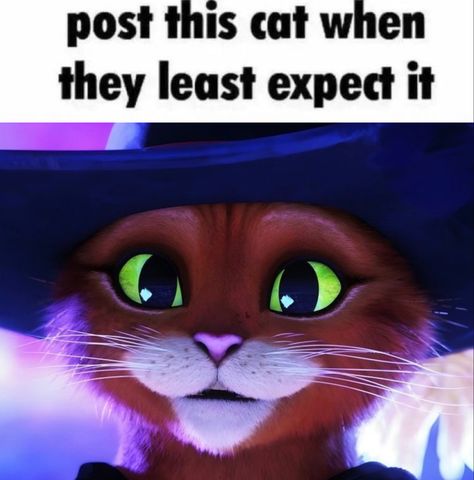 Post this cat when they least expect it Post This Cat When They Least Expect It, The Last Wish, Cat Talk, Woks, Iconic Movies, Shrek, Kids Shows, Dreamworks, Anime Icons