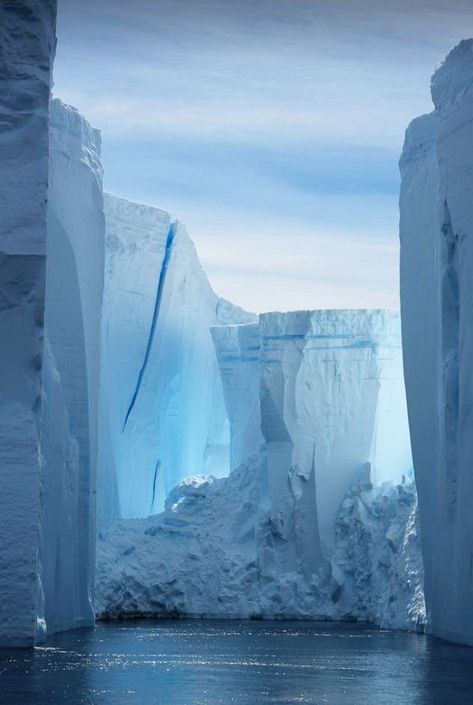 Icy Tower, Antarctica Cruise, Antarctica Travel, Travel Photography Nature, Snow And Ice, Architecture Portfolio, Nature Landscape, Driveway, Amazing Nature