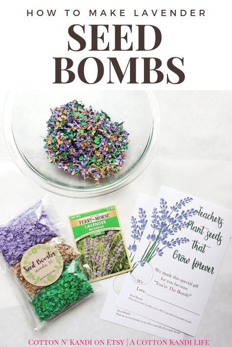 Preschool Earth Day, Seed Activities, Appreciation Themes, Earth Day Gifts, Classmate Gifts, Crunchy Mom, Youre The Bomb, Teachers Appreciation Week Gifts, Parenting Blogs