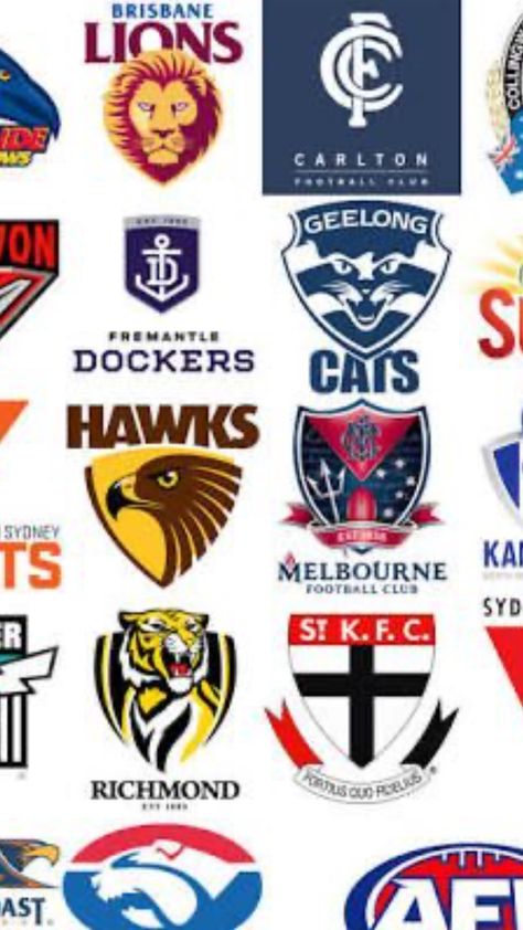 #Australian Football league#footy#afl#someteams#asesthetic #go hawks Australian Football League, Australian Football, Teachers Gifts, Football Teams, Football League, Hawks, Create Collage, Creative Play, Football Club