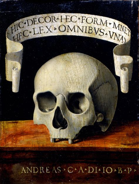 Andrea Previtali called Cordeliaghi (1470 - 1528) (Italian) (Painter). Portrait of a Man - Memento Mori. Panel. Date (1470 - 1528). 23.8 x18 cm. Museo Poldi Pezzoli. Accession number Inv. 1598verso www.google.com/culturalinstitute/u/0/asset-viewer/portrai... Human Skull Drawing, Carel Fabritius, Vanitas Paintings, Art Macabre, Google Art Project, Dark Paintings, Art Noir, Skulls Drawing, Dark Images