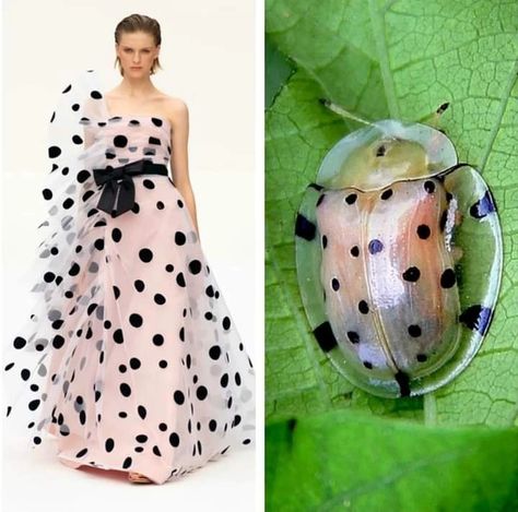 Insects, Fashion Models, and Other Invertebrates - fahion post - Imgur Fashion Design Inspiration Board, Fashion Show Themes, Nature Inspired Fashion, Theme Dress, Sketches Dresses, Fashion Illustration Dresses, Fashion Portfolio, Fashion Inspiration Design, Fashion Hacks Clothes