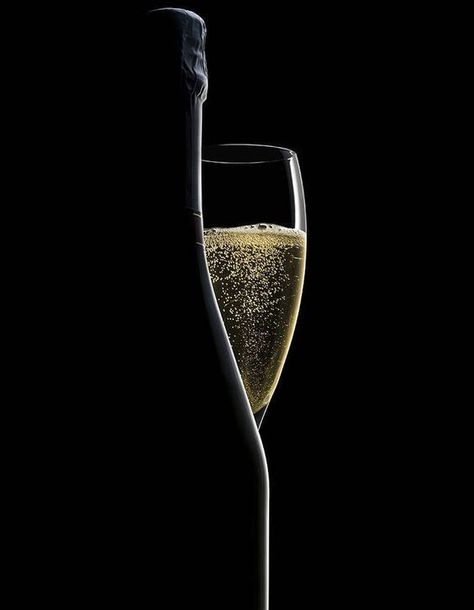 Wine Bottle Photography, Art Du Vin, Friday Yay, Dark Food Photography, Wine Photography, Glass Photography, Champagne Bar, Glass Of Champagne, Wine Art