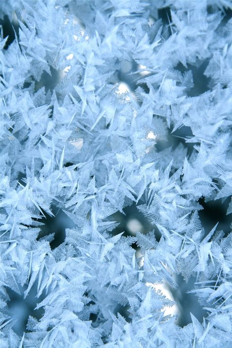 Ice Nature, Ice Aesthetic, Ice Pattern, Ice Art, Ice Crystals, Snow Flakes, Like Art, Winter Scenery, Snow And Ice