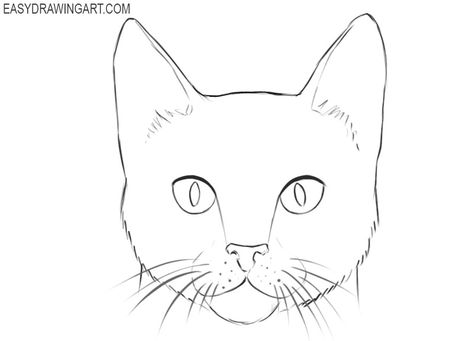 How to Draw a Cat Face | Easy Drawing Art Cat Face Drawing, Simple Cat Drawing, Draw A Cat, Cat Drawing Tutorial, Cats Art Drawing, Easy Animal Drawings, Cat Sketch, Drawing Cat, Contour Drawing