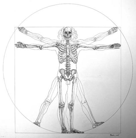 Skeleton. Vitruvian Man Leonardo Da Vinci. Skeleton. #Skeleton #Vitruvian #Man #Proportions #Ideal_Figure #Ideal_Proportions Vitruvius Man Tattoo, Vitruvian Man Drawing, Da Vinci Tattoo Ideas, Vitruvian Man Tattoo Design, Human Anatomy Tattoo, Vitruvian Man Art, Vitruvian Man Tattoo, Leonardo Da Vinci Vitruvian Man, Da Vinci Vitruvian Man