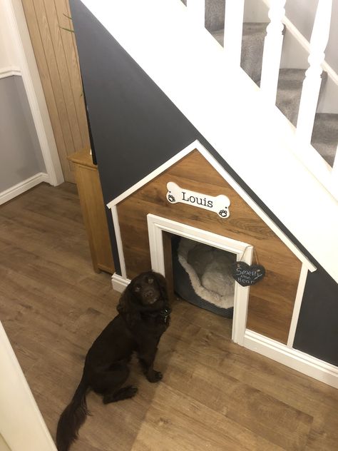 Dogs bed under the stairs Dog Bed Under Stairs, Bed Under The Stairs, Dog Under Stairs, Cat Hut, Under Stairs Dog House, Dog Nook, Under Stairs Nook, Room Under Stairs, Stair Nook