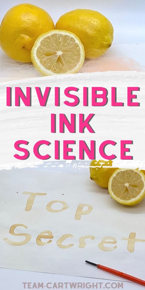 Text: Invisible Ink Science
Top Picture: Close up of lemons, 2 whole and 1 cut in half
Bottom Picture: secret message that appeared on a paper reading Top Secret. Lemons and paintbrush for invisible ink science experiment Diy Invisible Ink, Ink Magic, Elementary Stem Activities, Easy Stem, Fun Stem Activities, Summer Stem, School Age Activities, Disappearing Ink, Stem Elementary