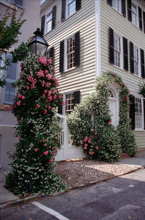 Camino De Santiago, Black And White Home Exterior, Estilo Charleston, European Gardens, Charleston Gardens, Mint Juleps, Seabrook Island, Charleston Style, Inspiring Places