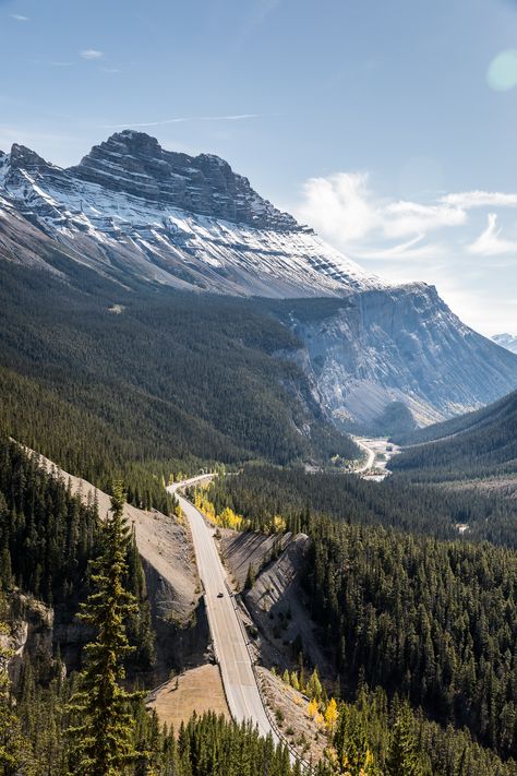 Icefield Parkway, All About Canada, Rocky Mountaineer, Icefields Parkway, Banff Canada, Canadian Travel, Luxury Train, Parks Canada, Train Journey