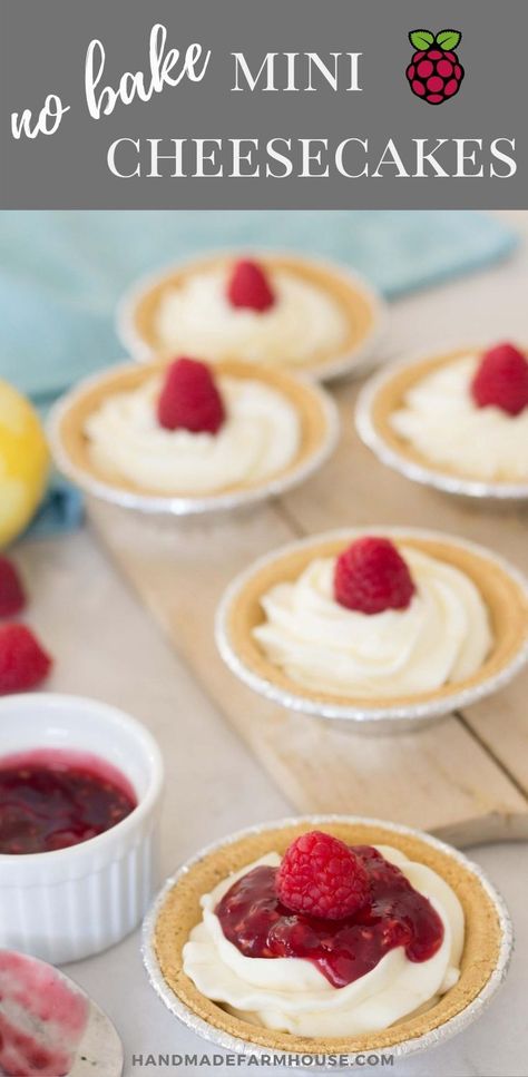 Mini No Bake Pies Graham Crackers, Mini Cheesecakes Pies, Easy Individual Cheesecakes, Mini Cheesecake Pies, Mini Cheese Cakes Recipes Easy No Bake, Mini Nobake Cheesecake, Quick And Easy Desserts For Parties, Easy No Bake Mini Cheesecakes, Mini Desserts Easy Quick