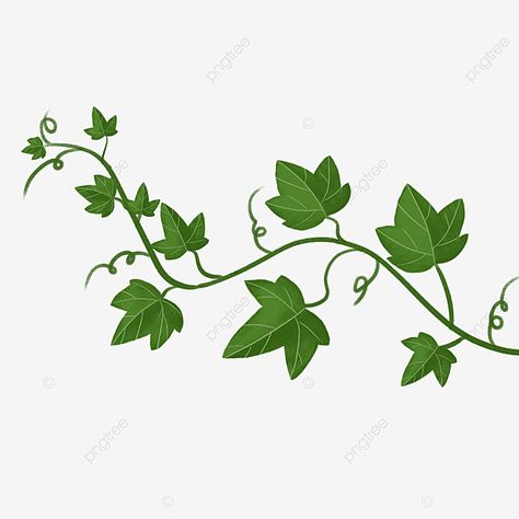 Ivy Clip Art, Celtic Ivy Tattoo, Ivy Leaf Nail Art, How To Paint Ivy Vines Easy, Ivy Drawing Simple, Ivy Drawing Vines, Ivy Leaves Drawing, Ivy Leaf Drawing, Ivy Leaves Tattoo