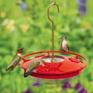 Ant Moat, Wild Birds Unlimited, Hummingbird Nectar, Homemade Bird Feeders, Conserve Energy, Hanging Bird Feeders, Hummingbird Feeder, Free Meal, Flower Bird